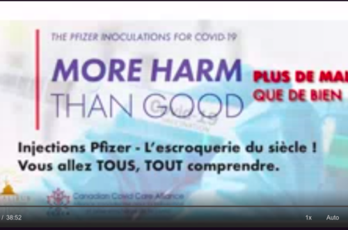 Pfizer - La plus grande escroquerie mondiale détricotée !