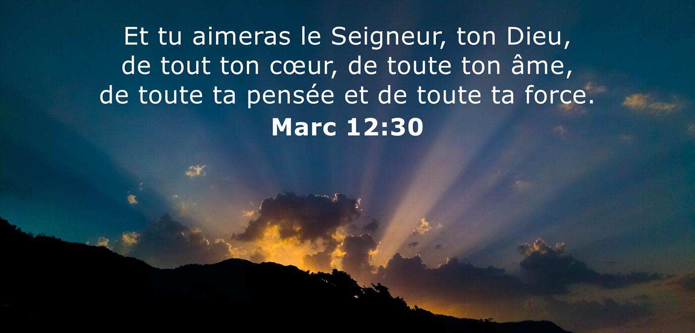 Lectures du jour : « Tu aimeras le Seigneur ton Dieu de tout ton cœur